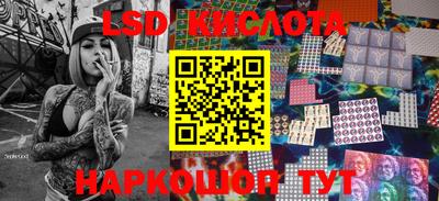 крисы Гай
