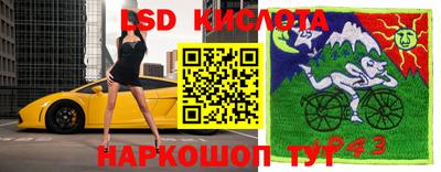 крисы Гай