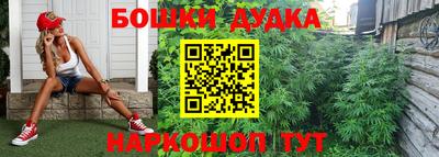 МДПВ Гатчина