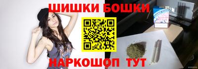 крисы Гай