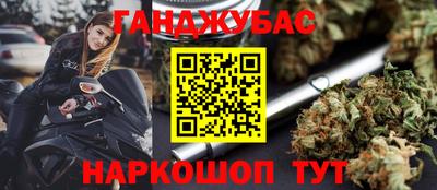 крисы Гай