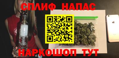 крисы Гай