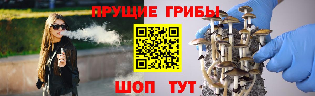 Галлюциногенные грибы прущие грибы  Вход с VPN  Галлюциногенные грибы GOLDEN TEACHER  Грозный 
